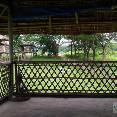 Dhansiri Eco Camp Bokakhat Экстерьер фото