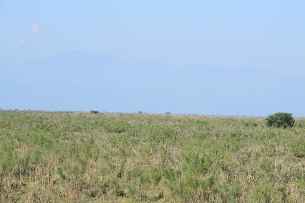 Dhansiri Eco Camp Bokakhat Экстерьер фото